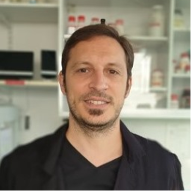 C Mathieu